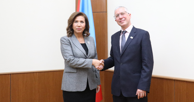 Председатель Госкомитета встретилась с новоназначенным послом Великобритании в Азербайджане